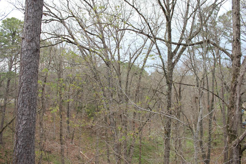 Brydan Suites Eureka Springs Exteriör bild